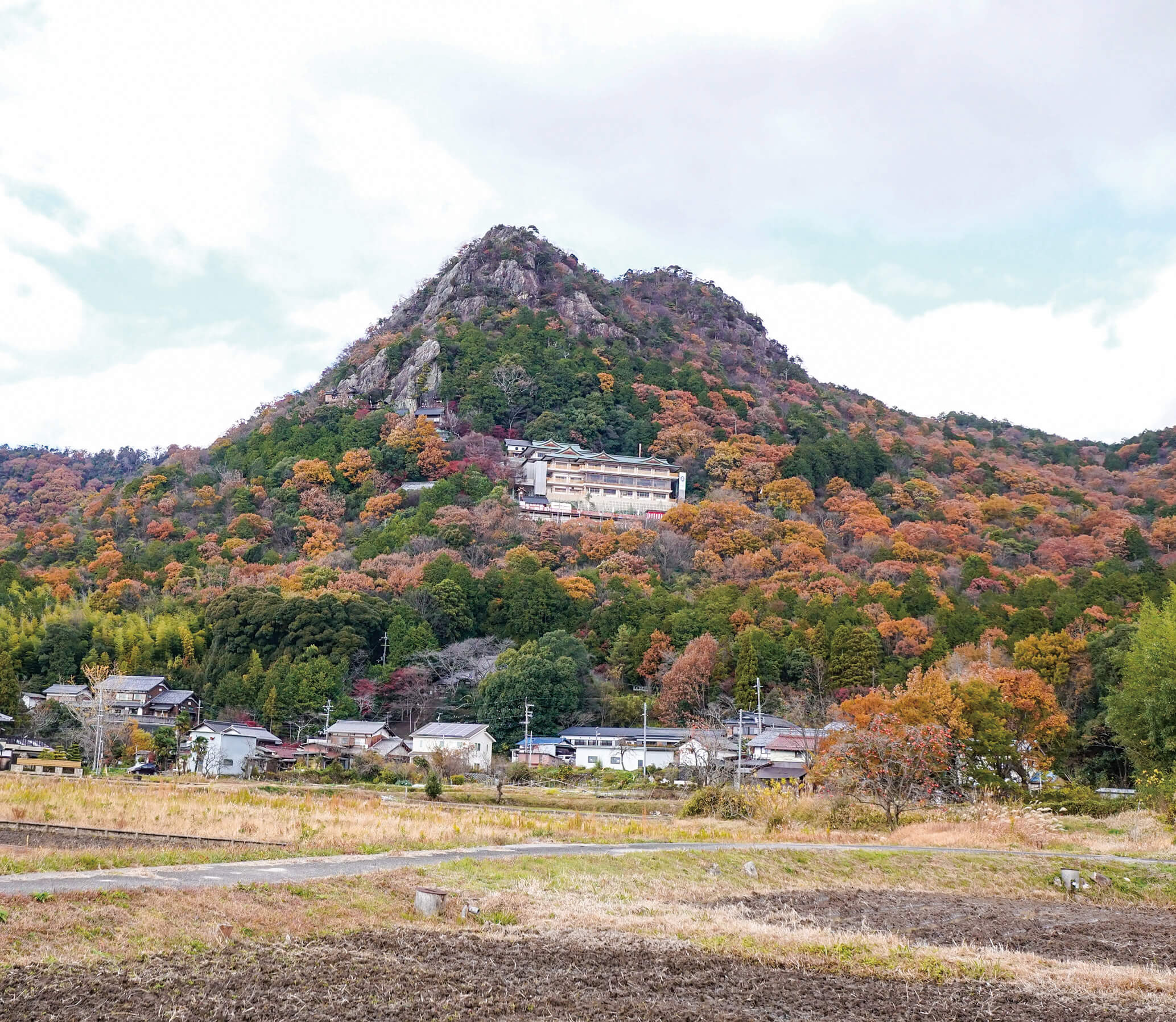 フォトコンノミネート写真