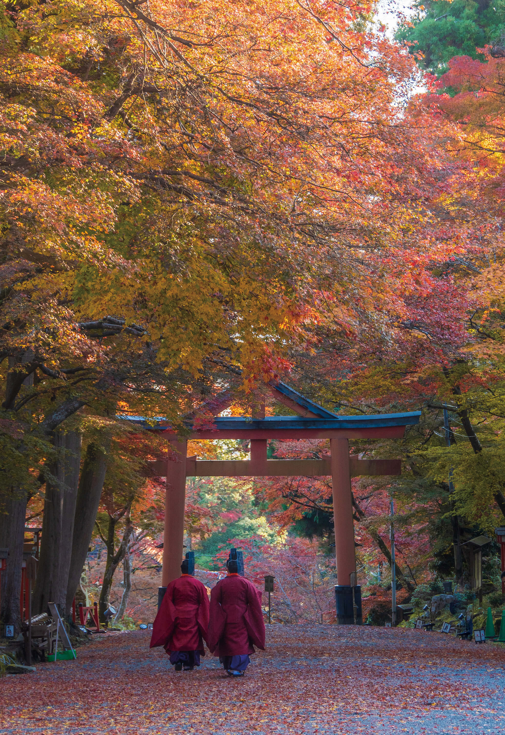 フォトコンノミネート写真